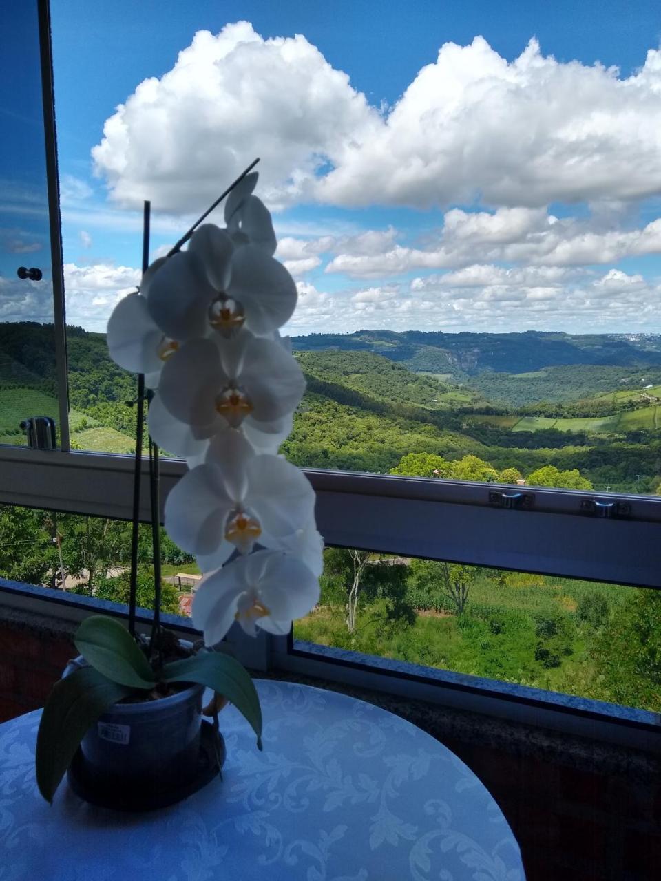 Casa Temporada Monte Belo Do Sul Villa Monte Belo dol Sul Eksteriør bilde
